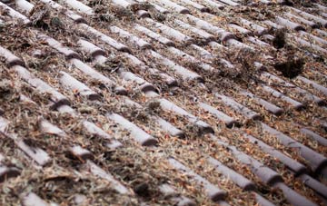 Shillington roof cleaning companies